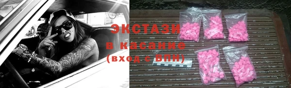стаф Алексин