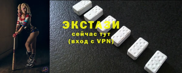 стаф Алексин