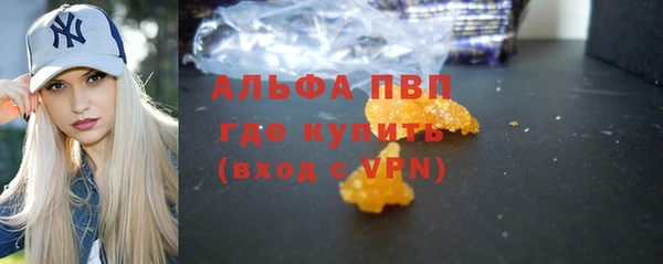 стаф Алексин