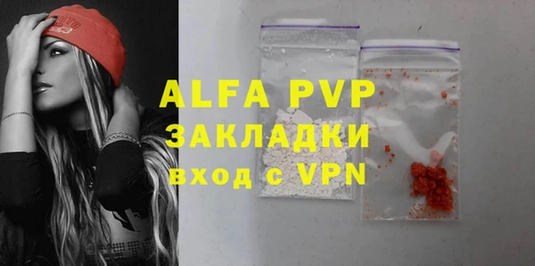 стаф Алексин