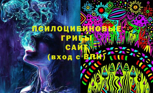 стаф Алексин